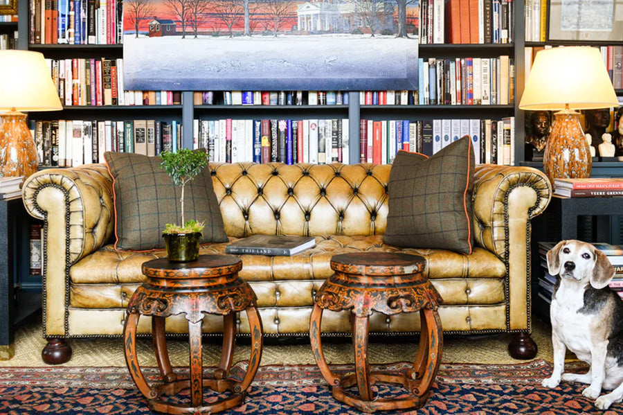 Bookshelf Wealth Gone Bad: Debunking the Latest Tik-Tok Trend