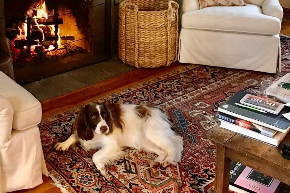 Cabin Fever Supper: Mama's Chicken Pie