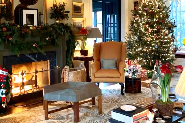 Boeuf Bourguignon by the Fire