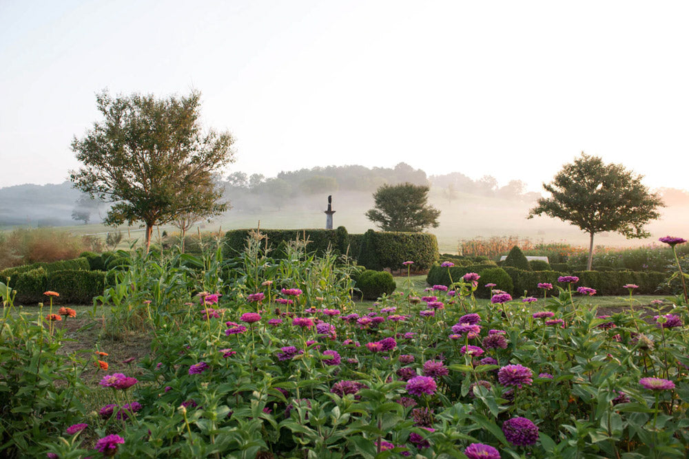 Summer Squash Casserole
