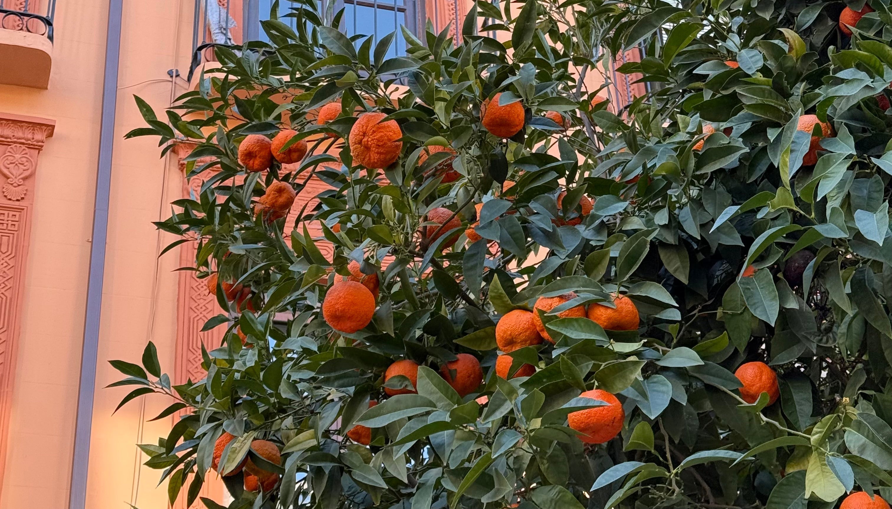 A Late Winter Weekend in Seville