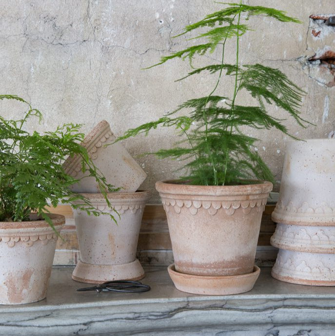 Spring Pots & Planters