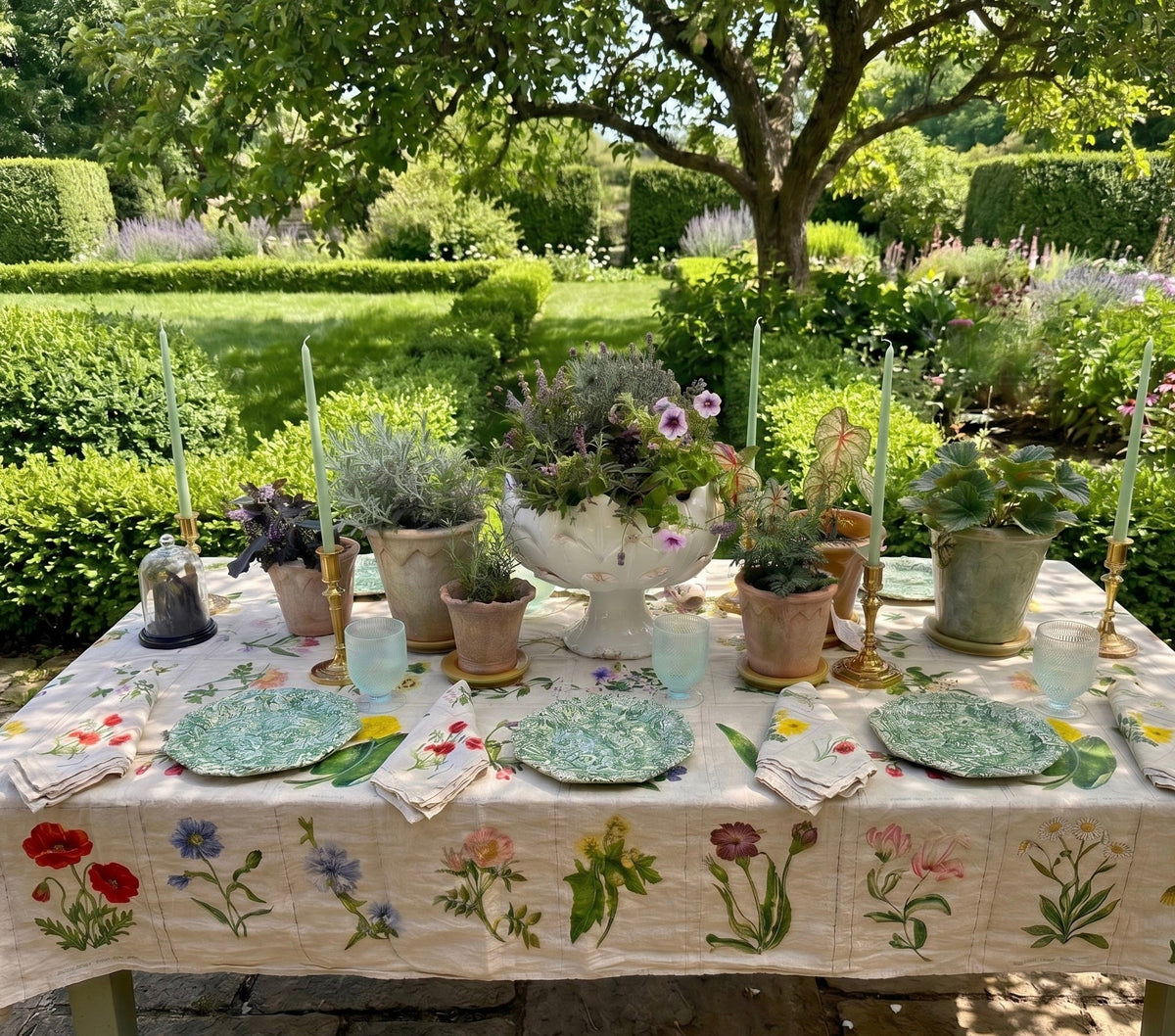 The Botanical Garden