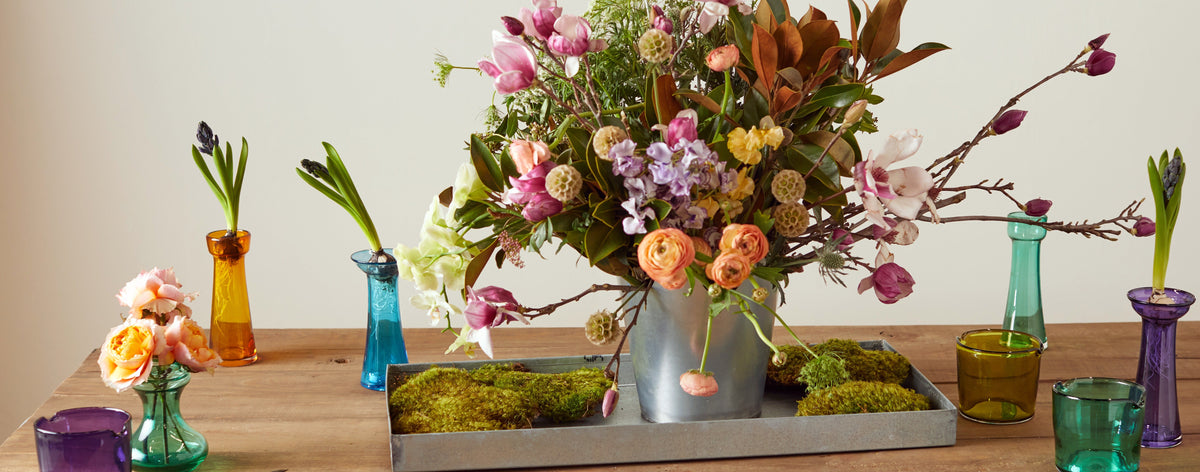 Bulb Forcing Vases