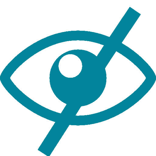 Invisible categories