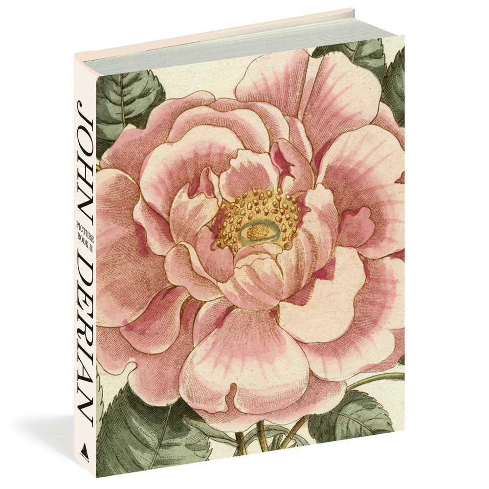 John Derian Picture Book ll