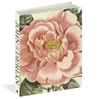 John Derian Picture Book ll