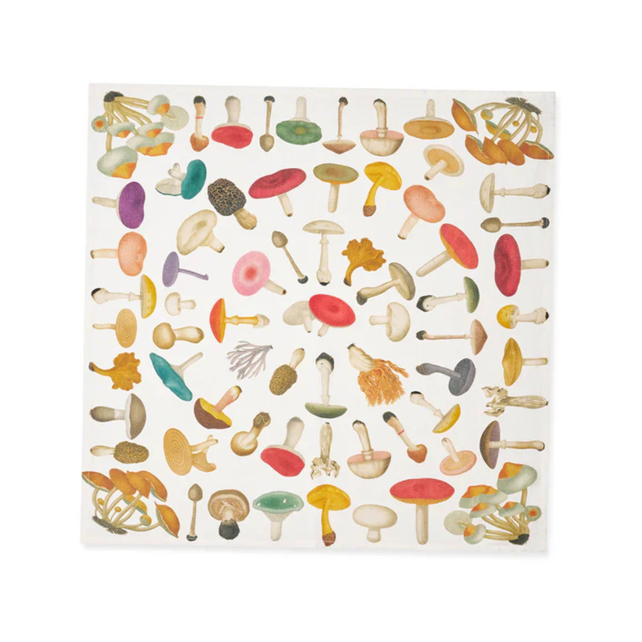 Summerill & Bishop x John Derian White Fungi Mushroom Linen Napkin