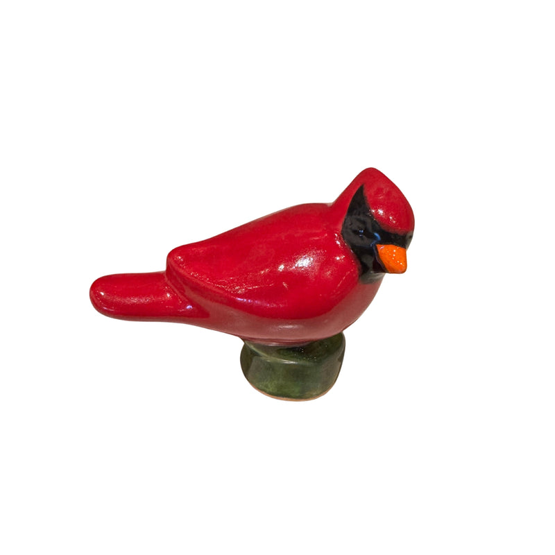 Medium Cardinal on Branch