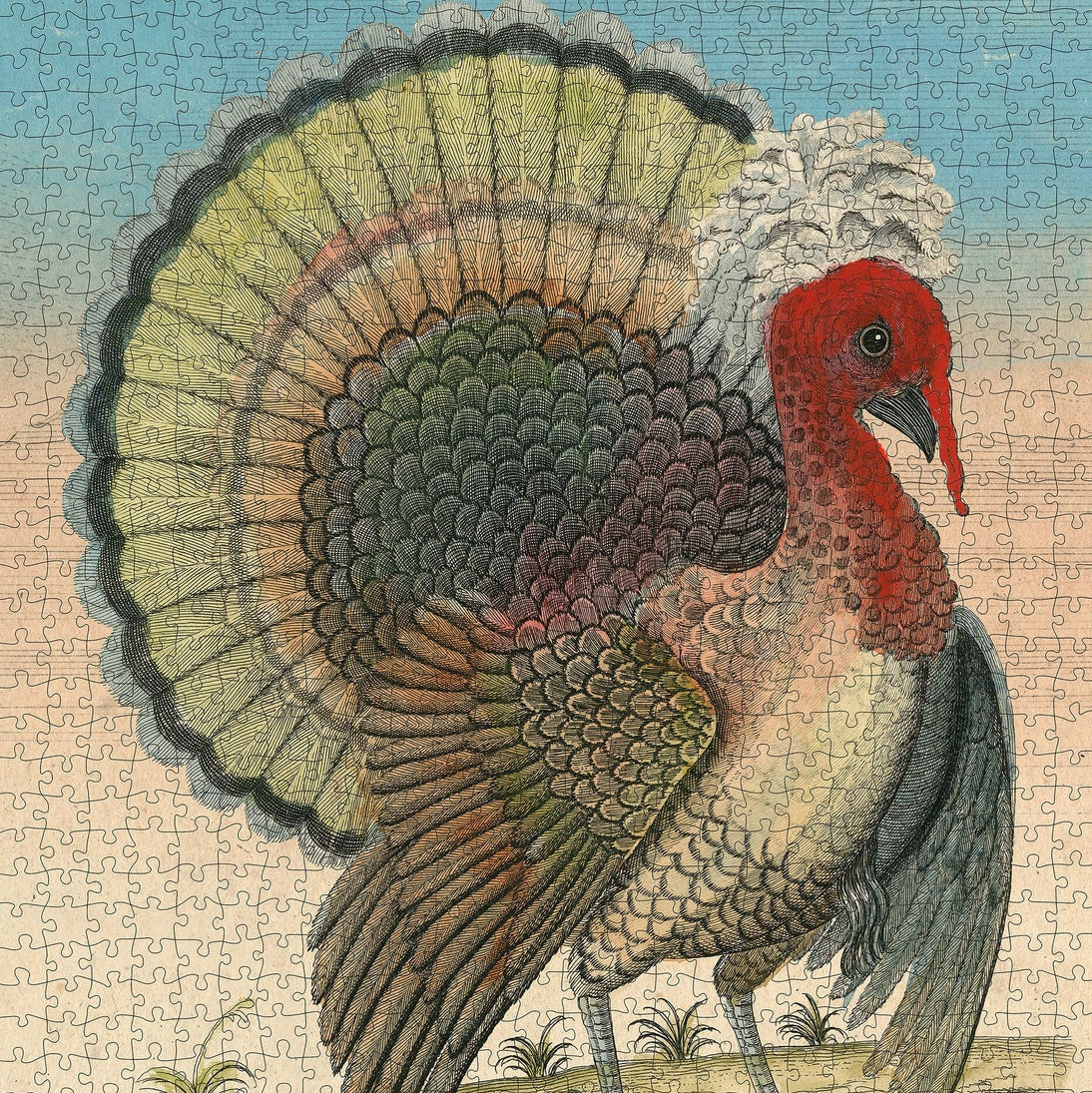 John Derian 'Crested Turkey' Puzzle