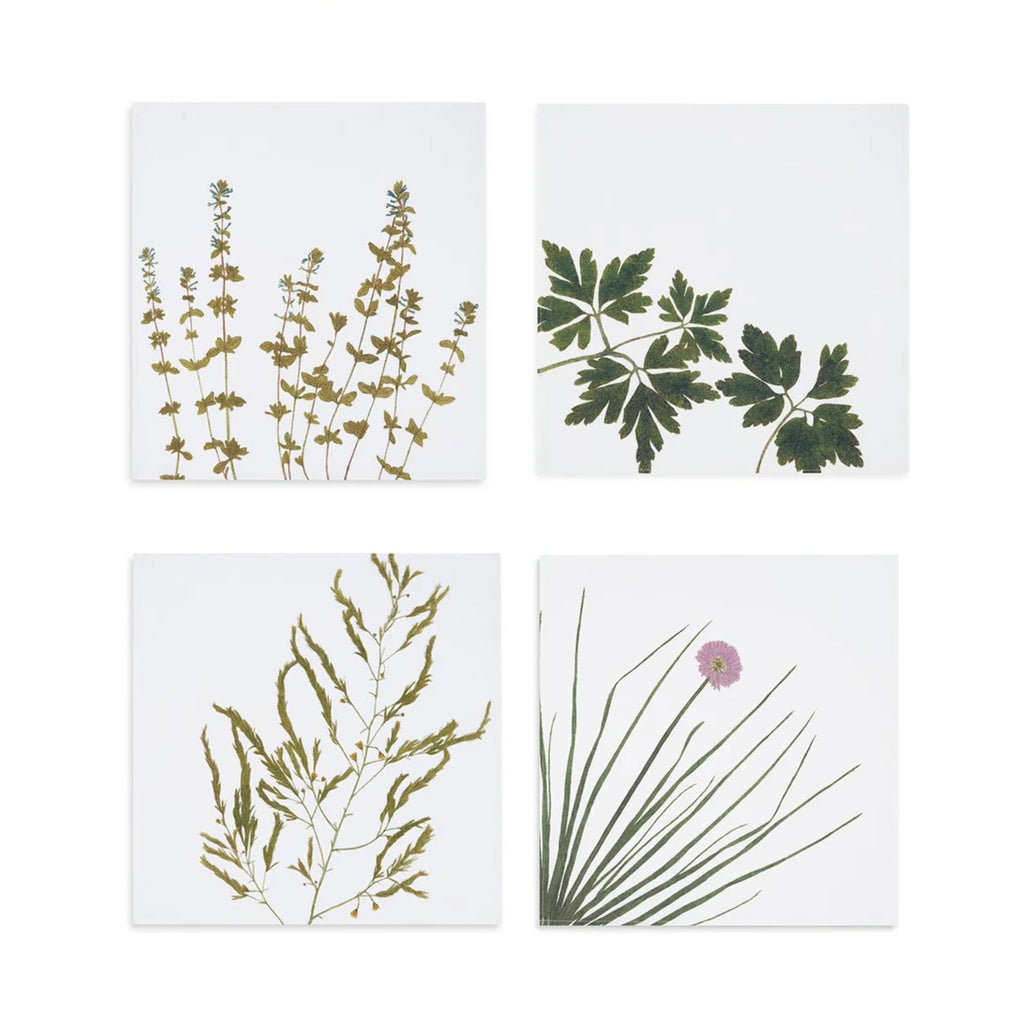Summerill & Bishop Set of Four Linen Herbarium Gastronomic Linen Napkins