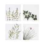 Summerill & Bishop Set of Four Linen Herbarium Gastronomic Linen Napkins