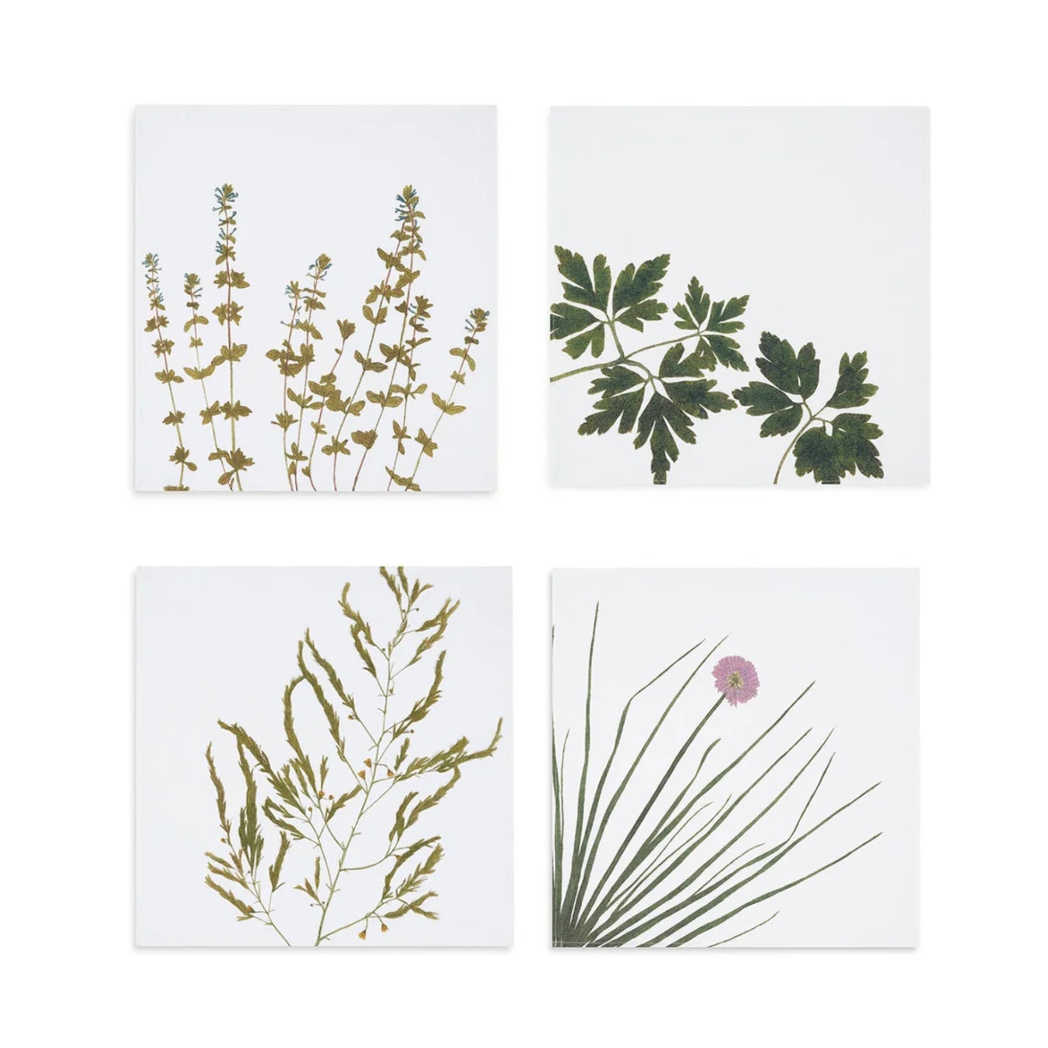 Summerill & Bishop Set of Four Linen Herbarium Gastronomic Linen Napkins