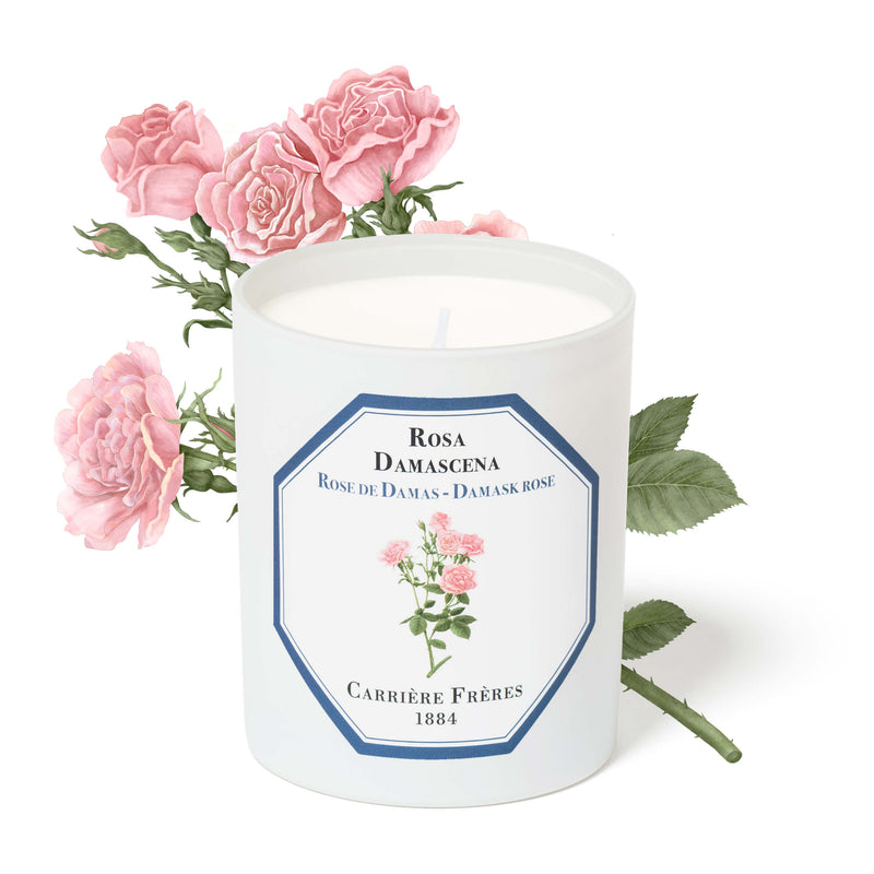Carrière Frères Candle, Damask Rose