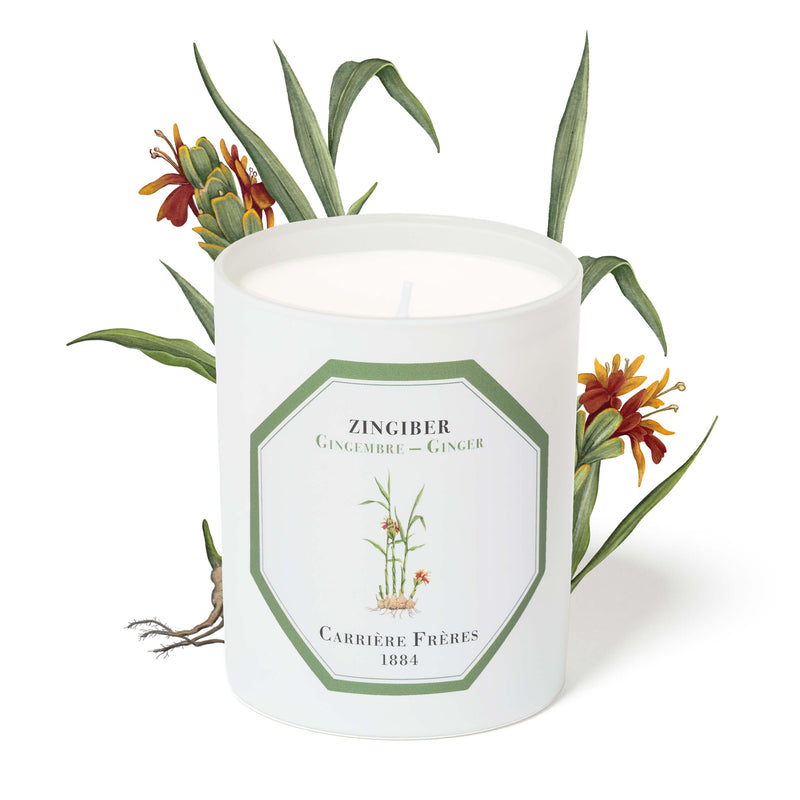 Carrière Frères Candle, Ginger
