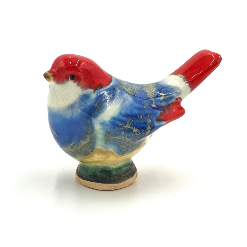 Medium Songbird, Blue & Red