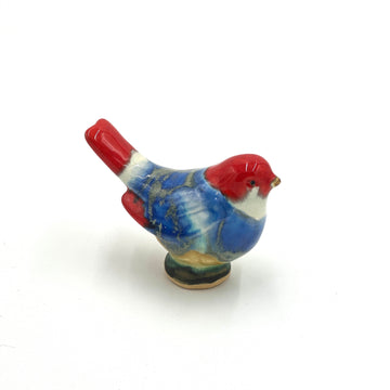 Medium Songbird, Blue & Red