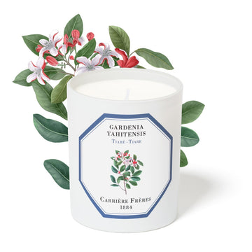 Carrière Frères Candle, Gardenia