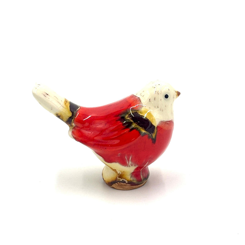 Medium Songbird, Red,White, Brown