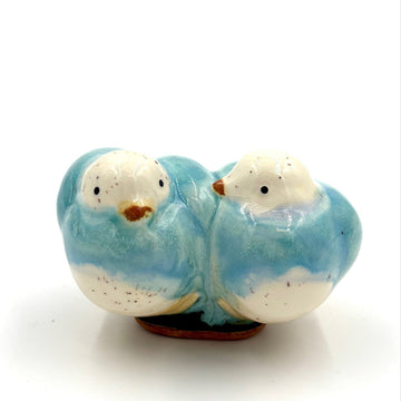 Lovebirds, Sky Blue & White