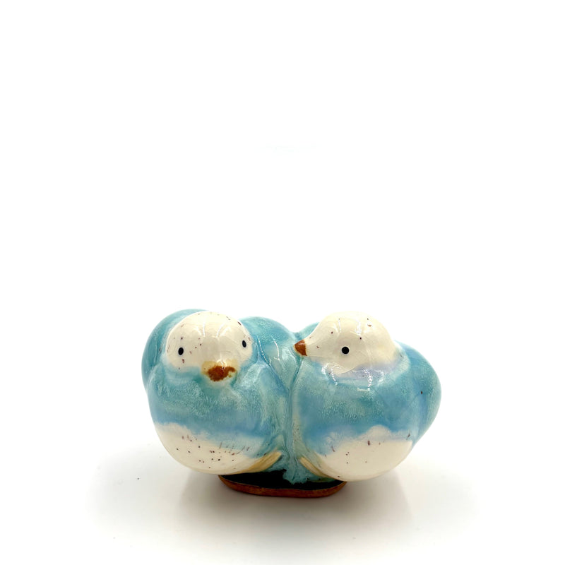 Lovebirds, Sky Blue & White