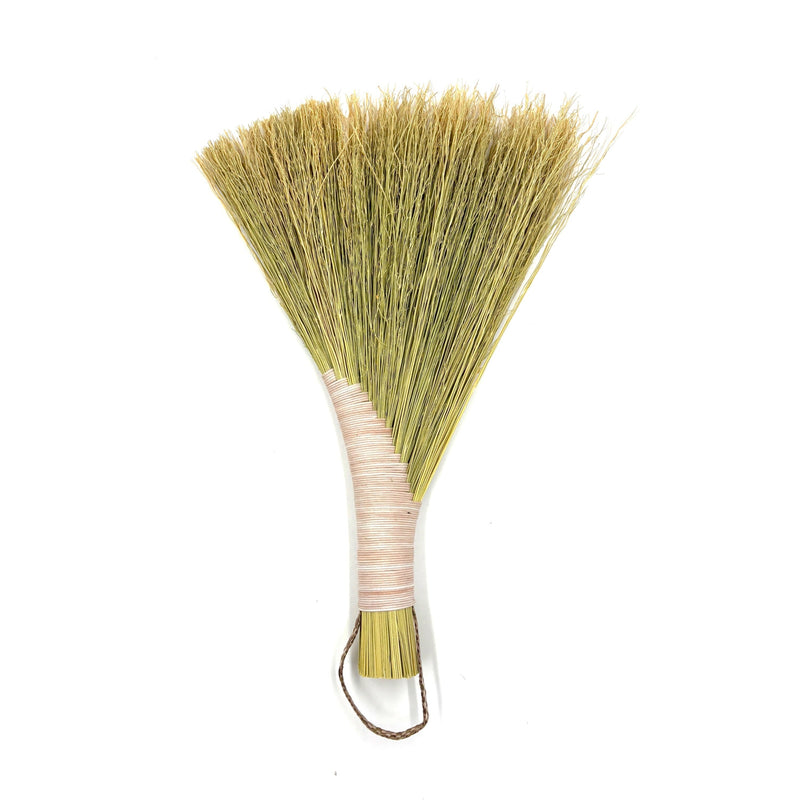 Turkey Wing Hand Broom, Pink