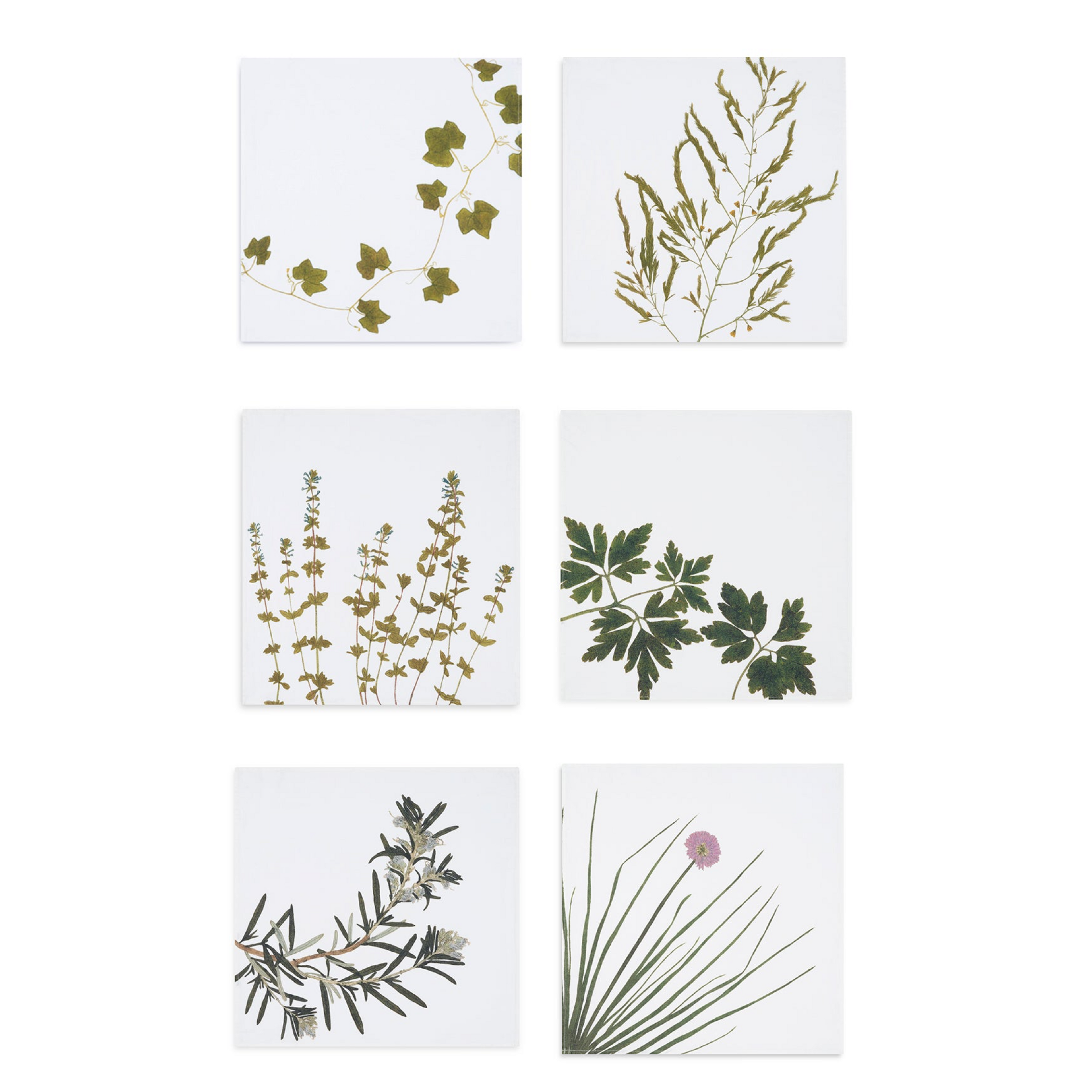Summerill & Bishop Set of Six Linen Herbarium Gastronomic Linen Napkins