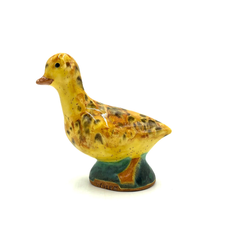 Medium Duck, Yellow & Brown Spotted