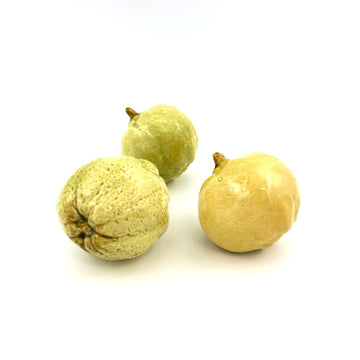 Hand Enameled Ceramic Quince