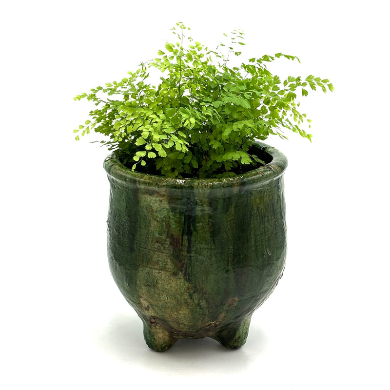 Large Tamegroute Planter