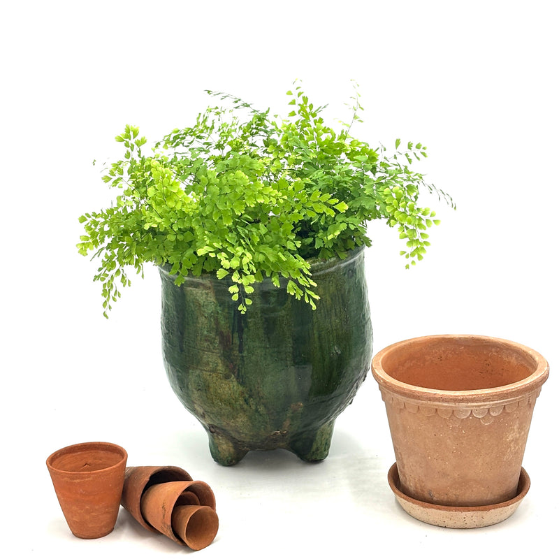 Large Tamegroute Planter