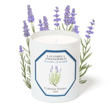 Carrière Frères Candle, Lavender