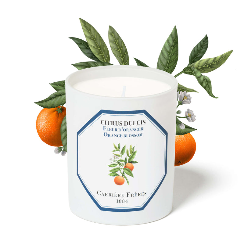 Carrière Frères Candle, Orange Blossom