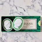 Green on Green Shell Dish and Soap Gift Set, Multiple Options