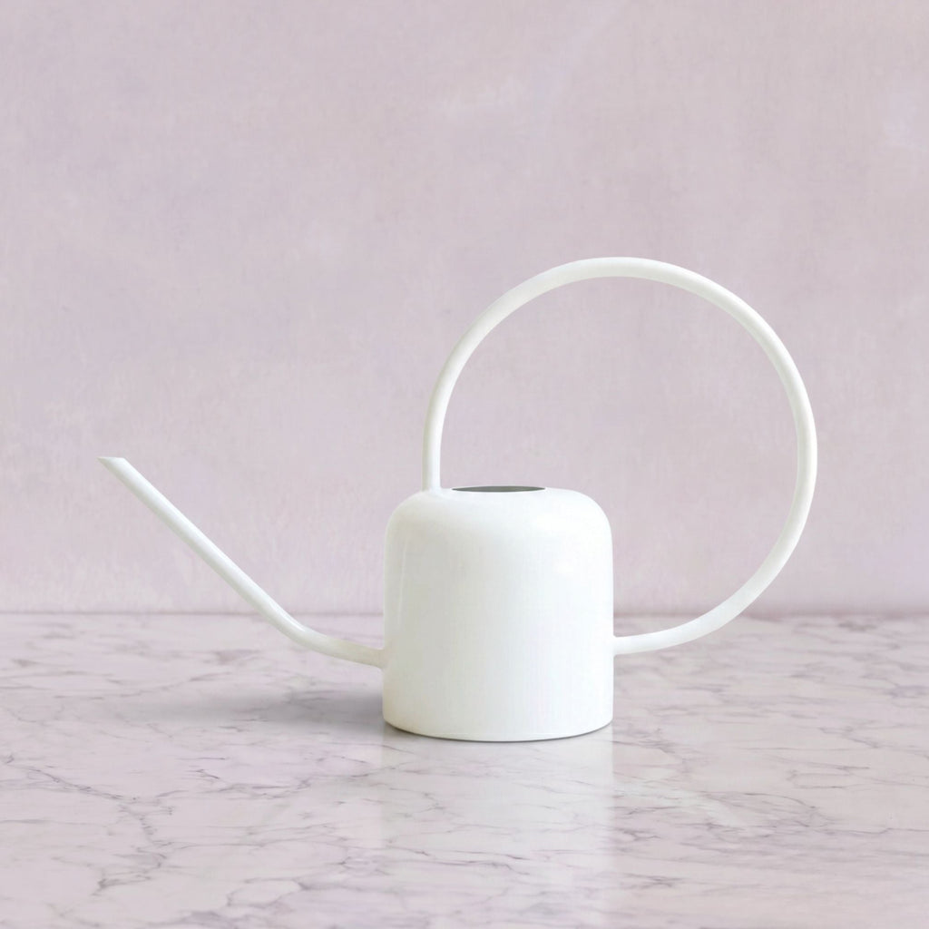 White Watering Can