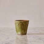 Medium Aged Harlequin Terracotta Planter