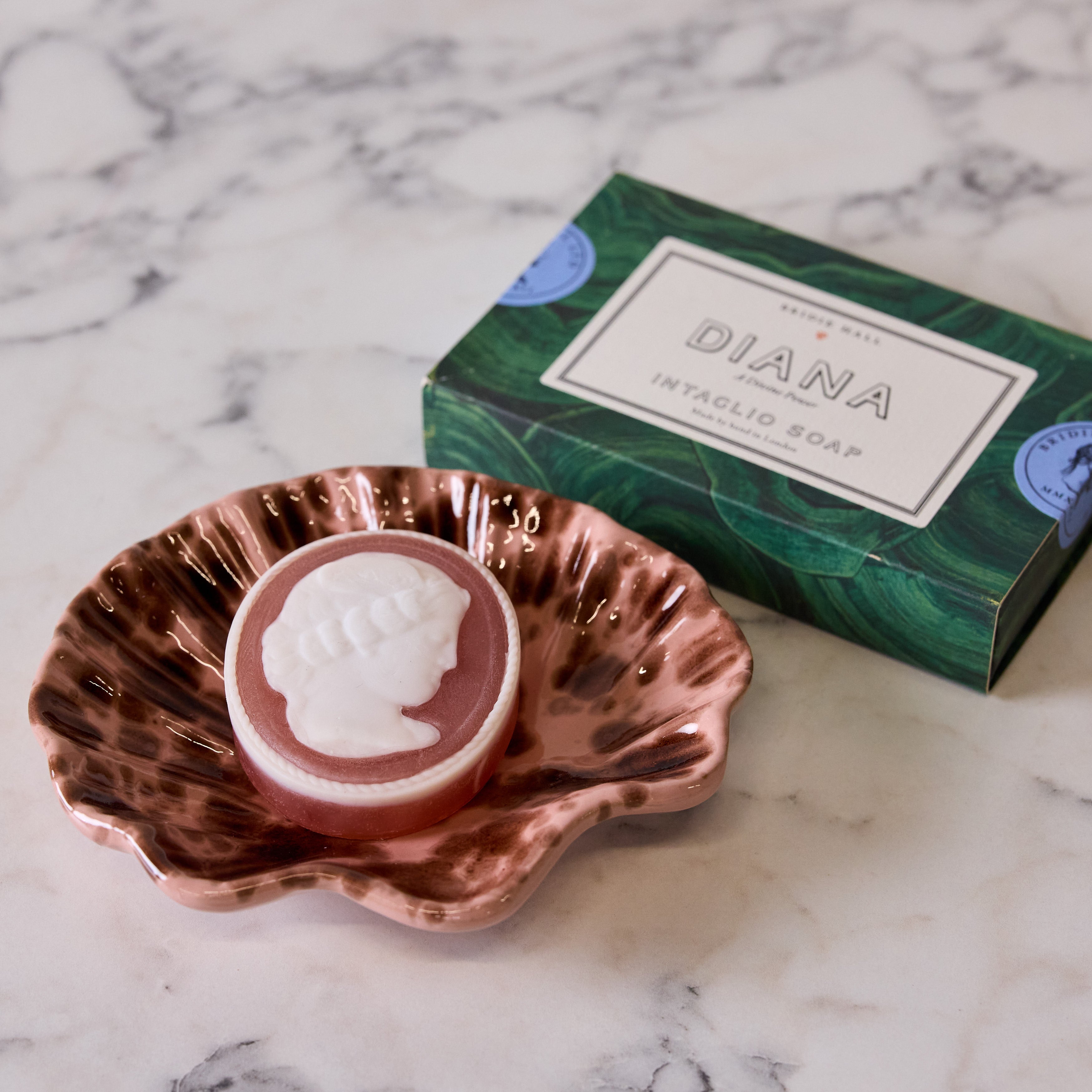 Brown on Rose Shell Dish and Soap Gift Set