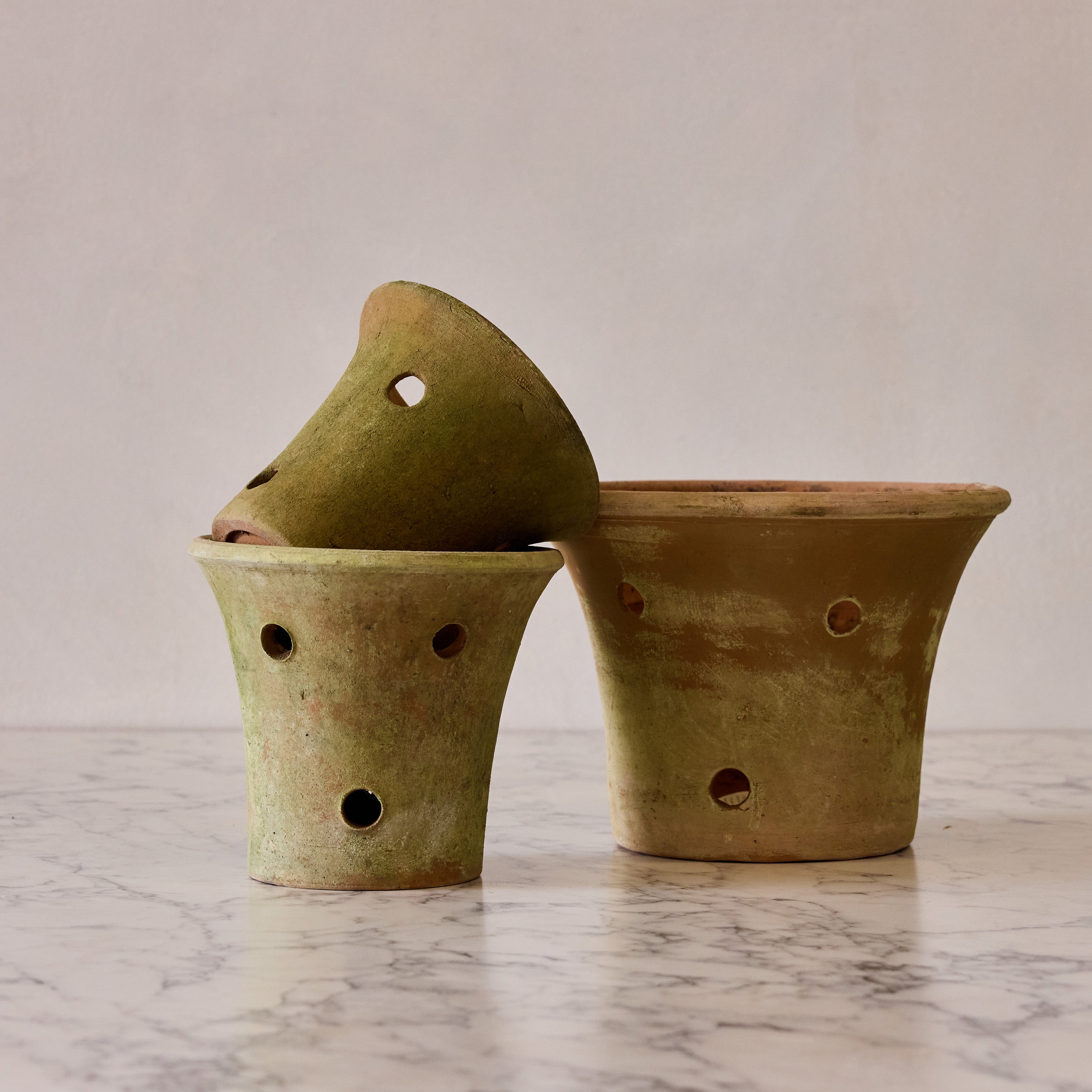 Large Orchid Terracotta Planter