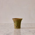 Small Orchid Terracotta Planter