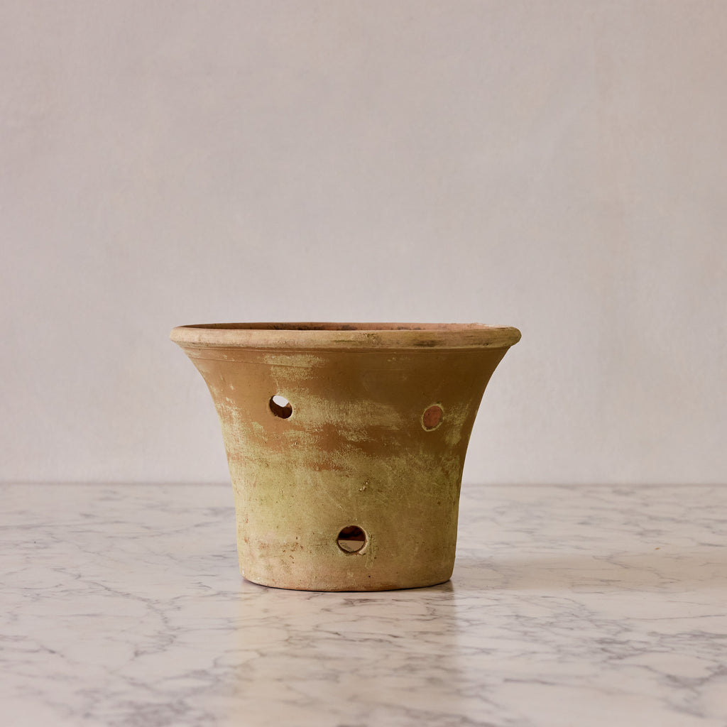 Large Orchid Terracotta Planter