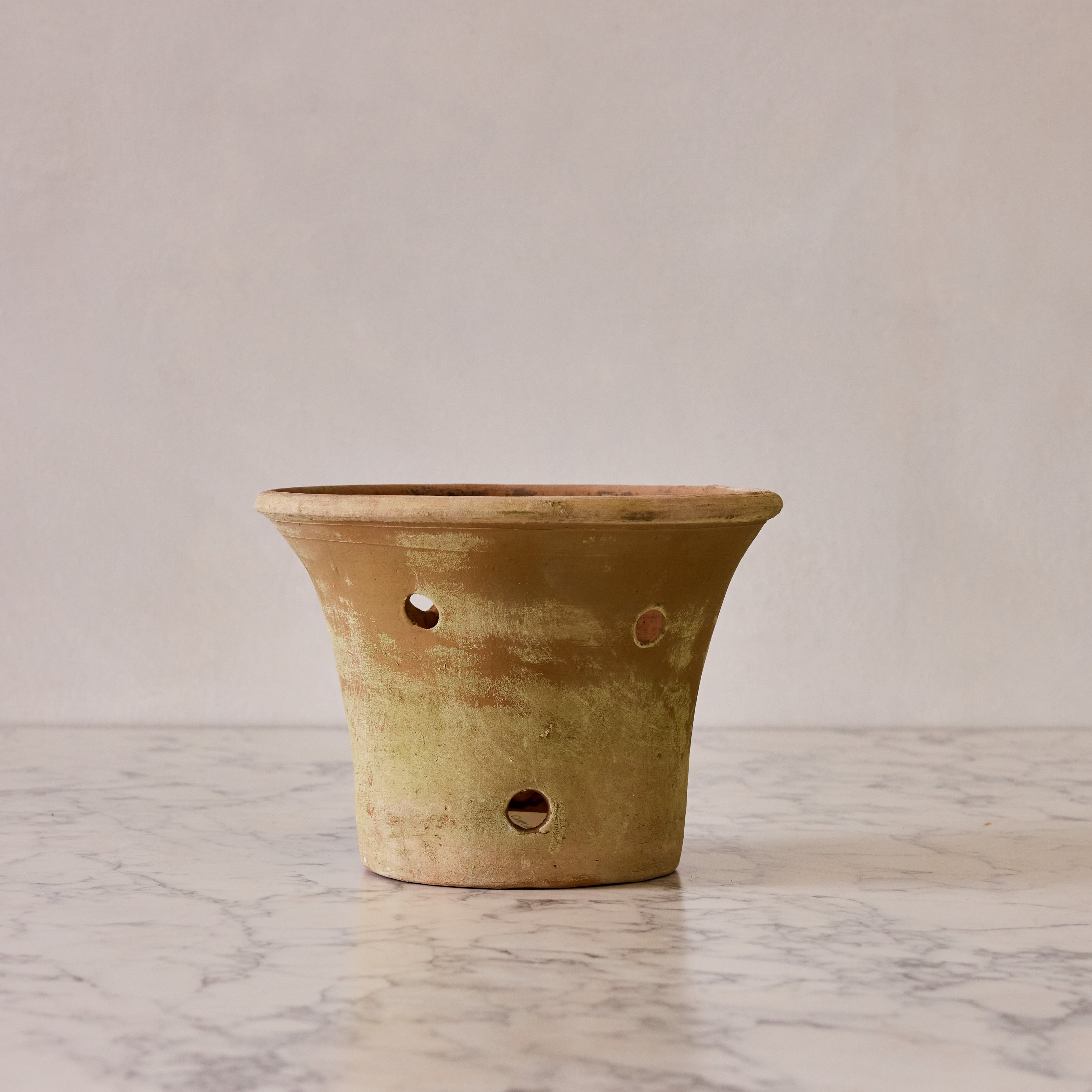 Large Orchid Terracotta Planter