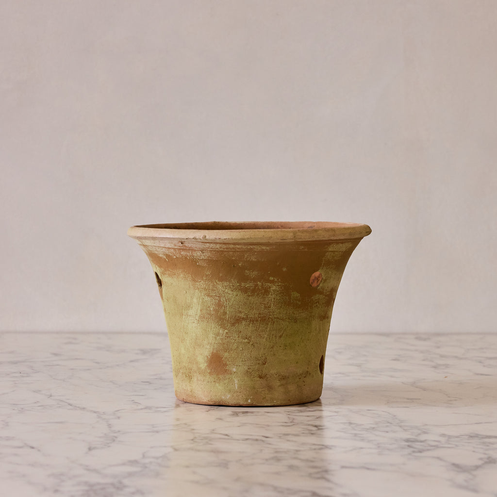 Large Orchid Terracotta Planter
