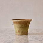 Large Orchid Terracotta Planter