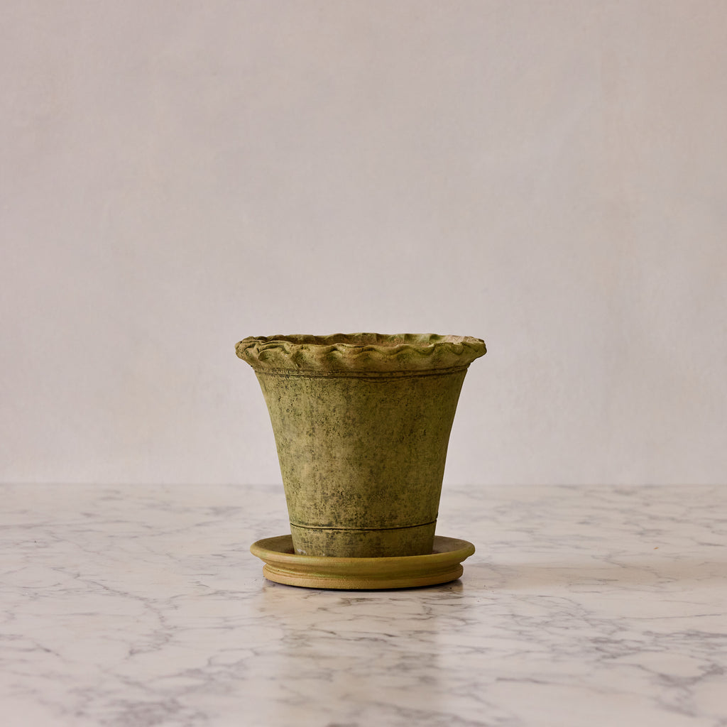 Medium Nursery Pie Crust Terracotta Planter