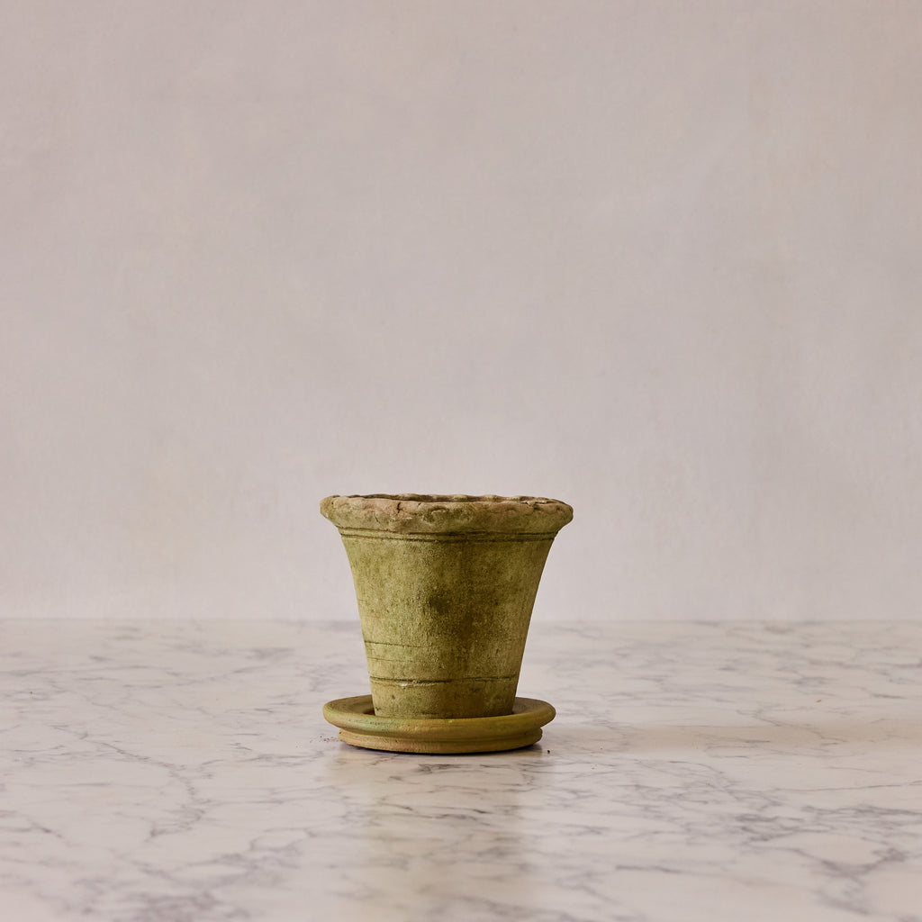 Small Nursery Pie Crust Terracotta Planter