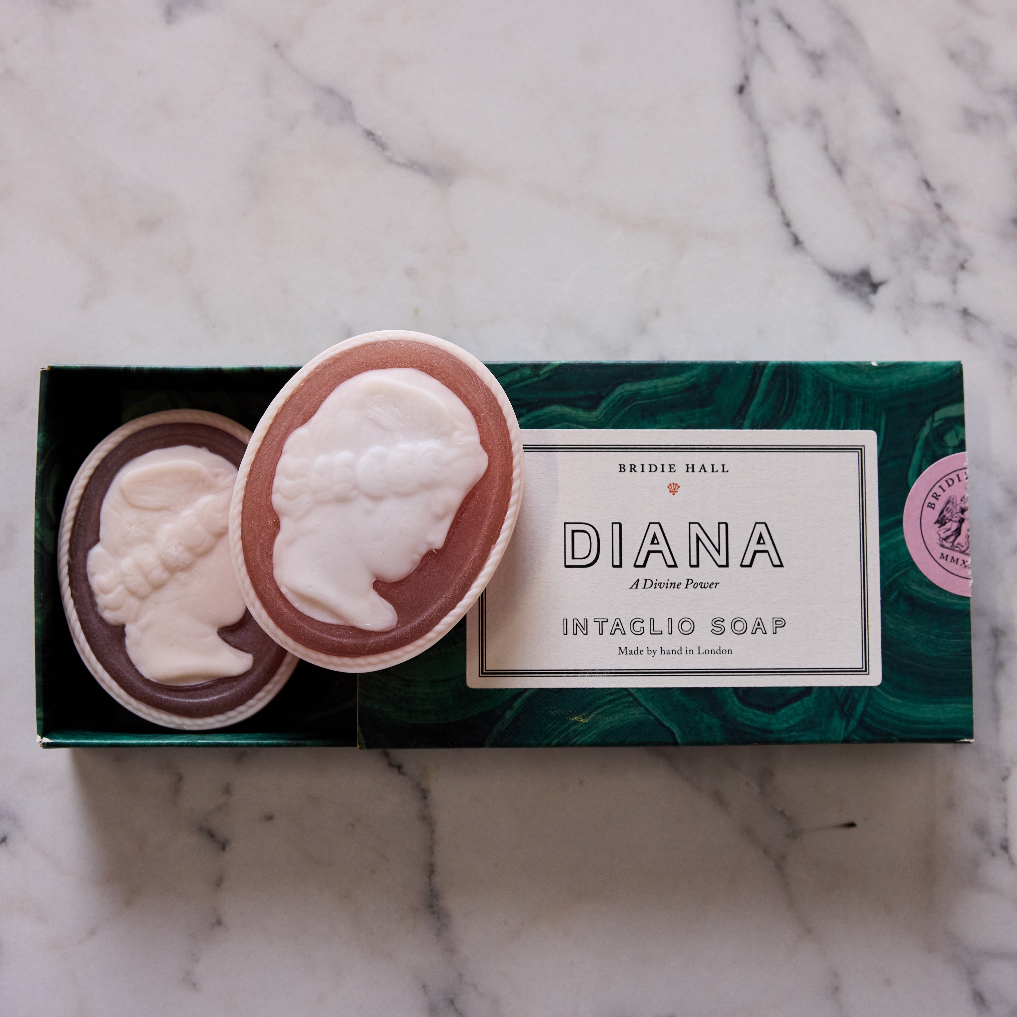 Brown on Rose Shell Dish and Soap Gift Set