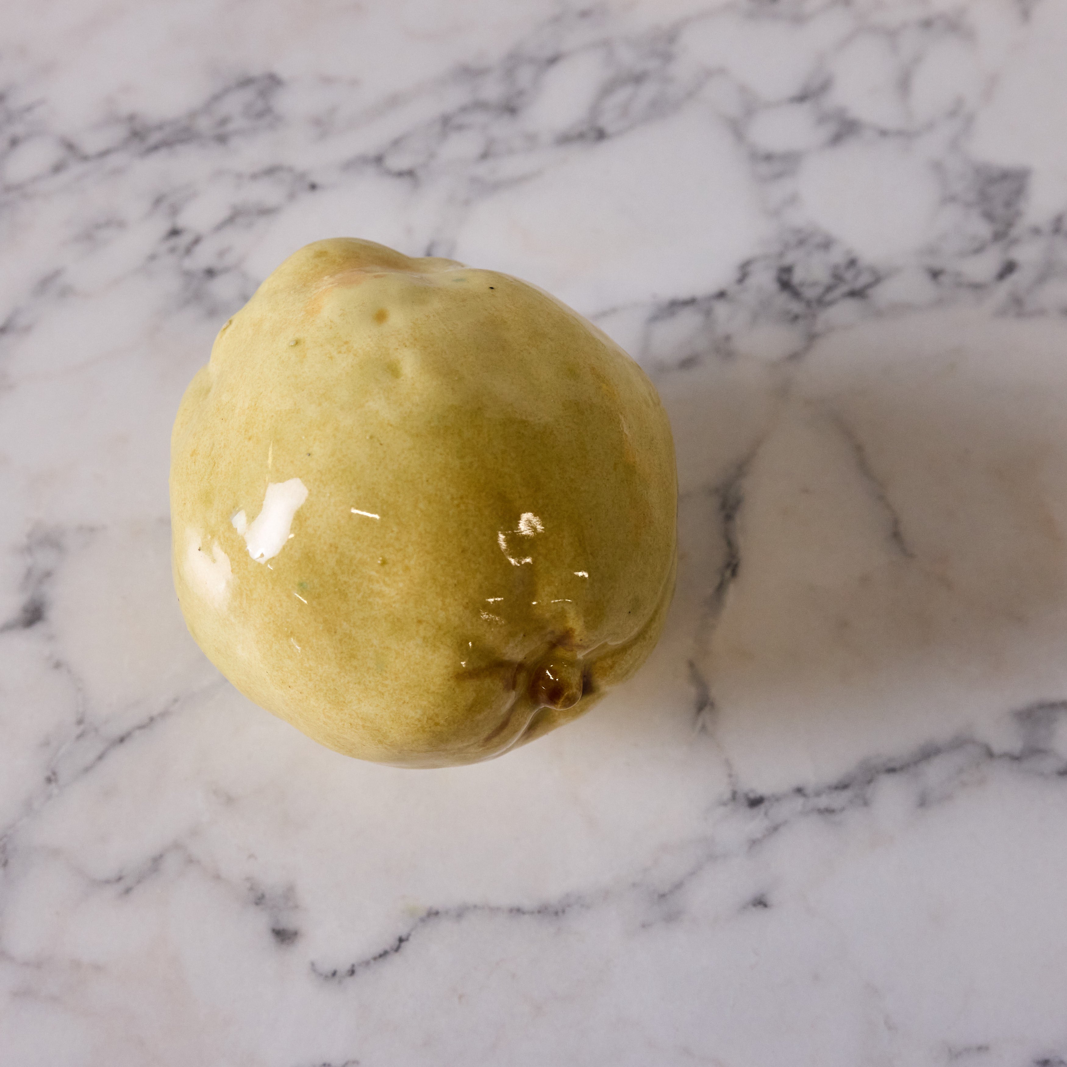 Hand Enameled Ceramic Quince