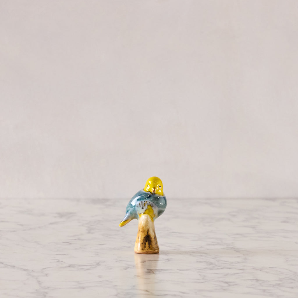 Songbird on Branch, Yellow, Blue