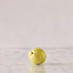 Hand Enameled Ceramic Quince