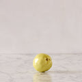 Hand Enameled Ceramic Quince